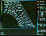 COMPUTER ANALYSIS